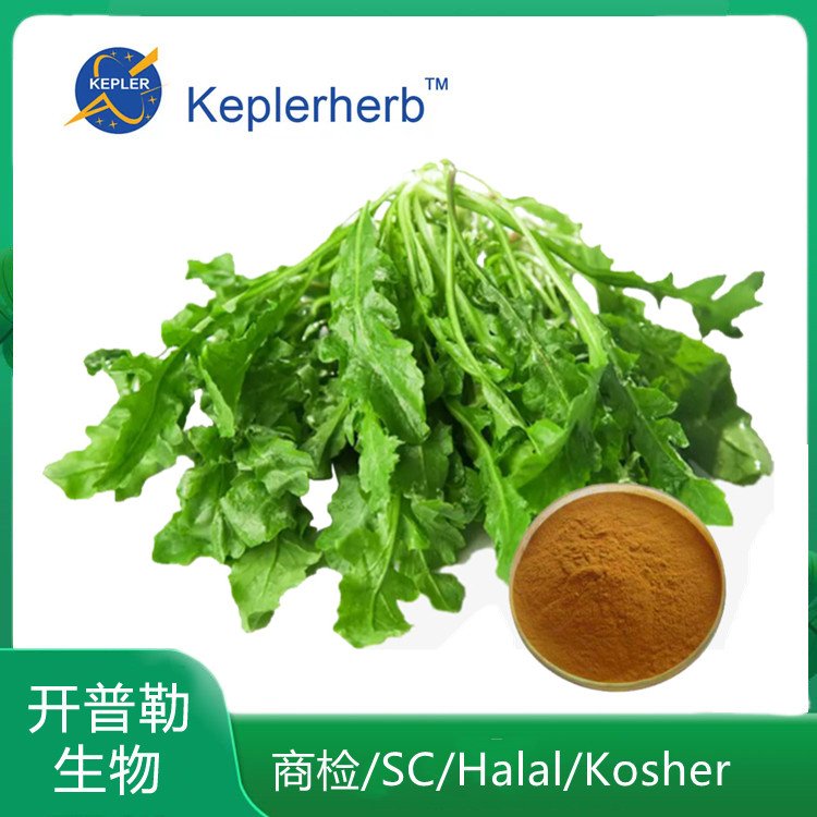 荠菜花提取物 植物多糖 食品级 水溶浸膏粉 固体饮料工厂