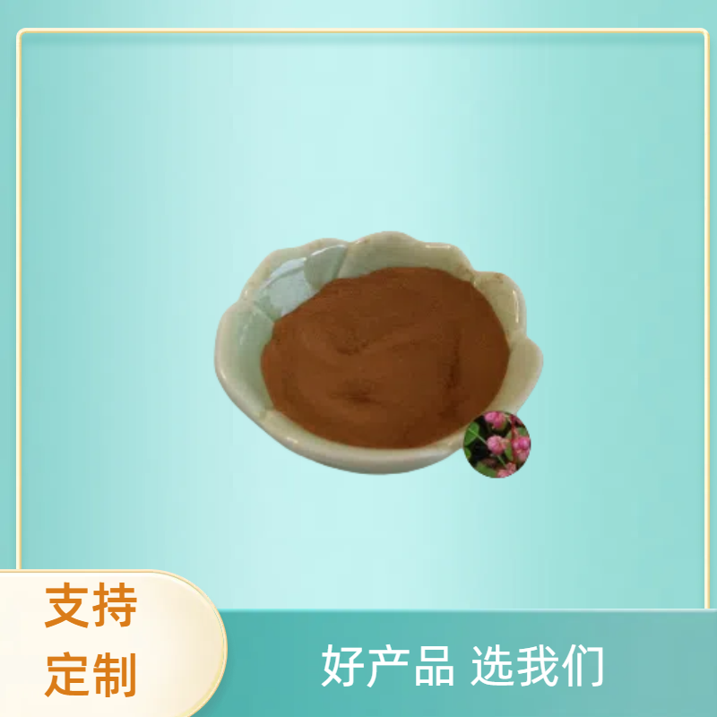 鹿衔草提取物 鹿蹄草浓缩粉 比例提取10:1 多种规格 全水溶 1kg起批