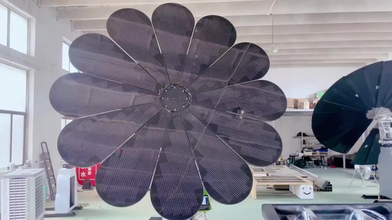 视频