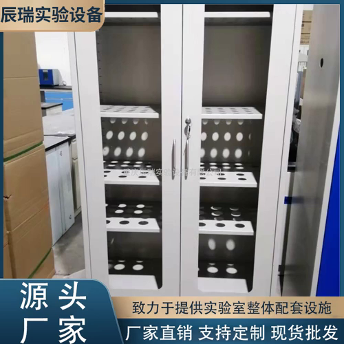 辰瑞 实验室全钢气瓶柜 气瓶器皿柜 工业防火防爆柜 气体安全储存柜