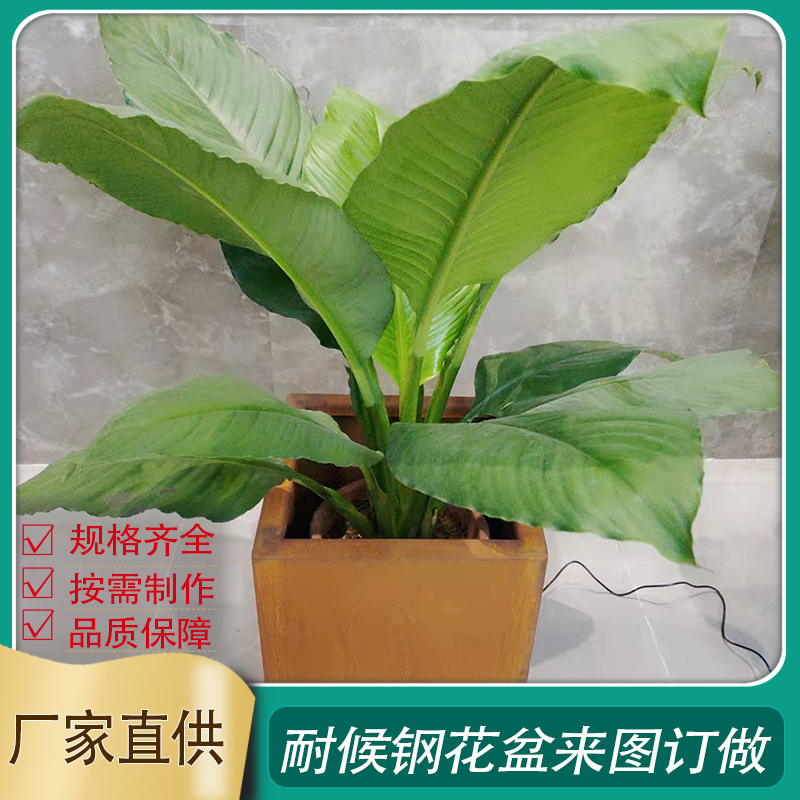 铁锈款 耐候钢树围 红锈耐候板花盆 Q235耐候锈钢板种植池 树池美化