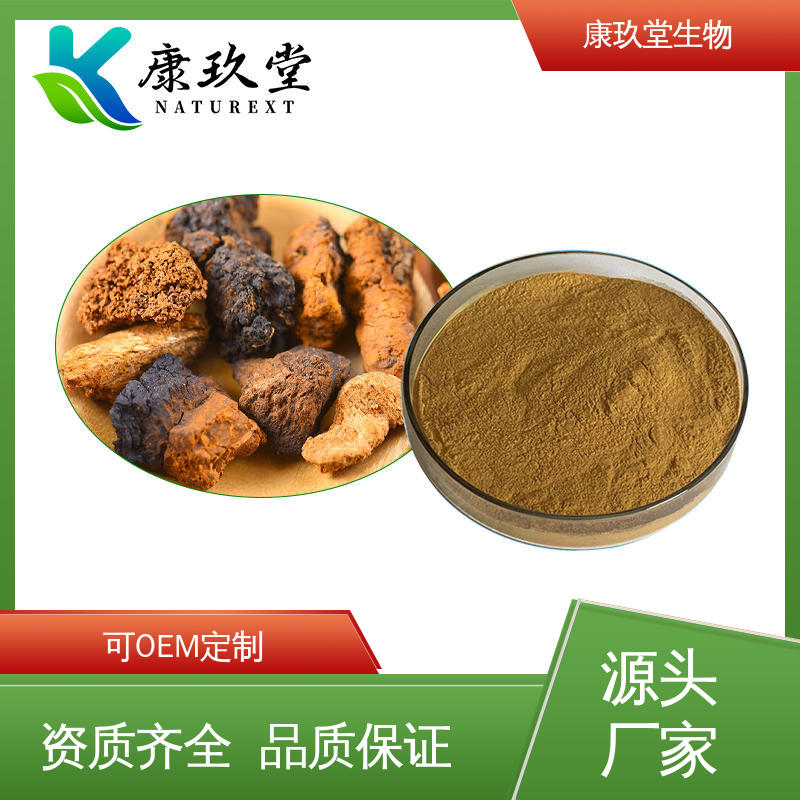 棕色粉末 可OEM定制 白桦茸植物提取物 设备先进 康玖堂