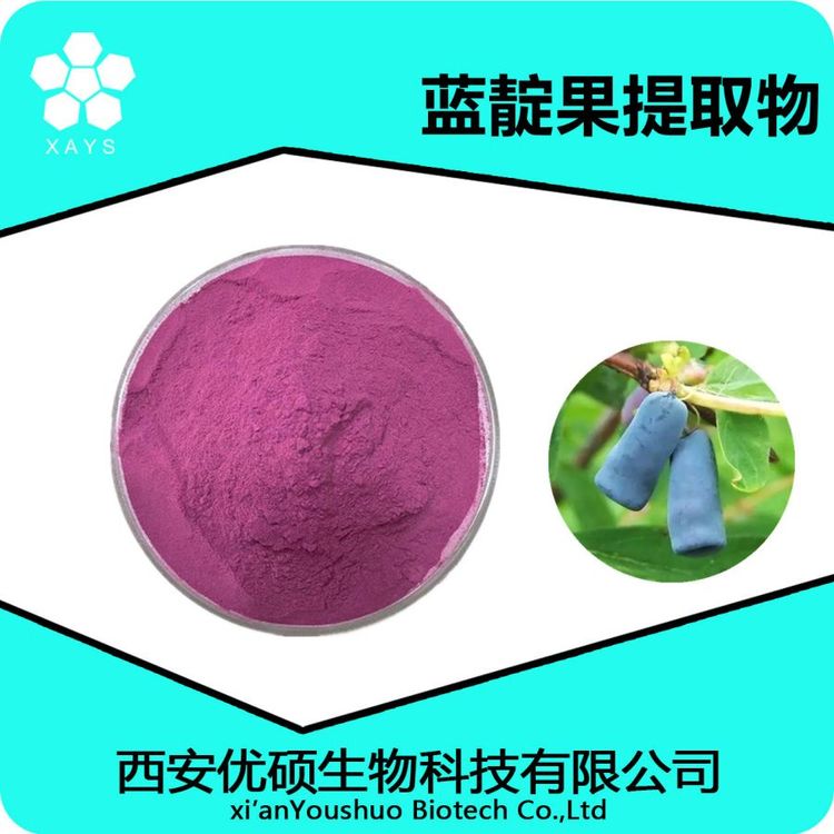 蓝靛果提取物 水溶蓝靛果粉 浓缩粉 可塑性高 应用领域广泛 优硕生物