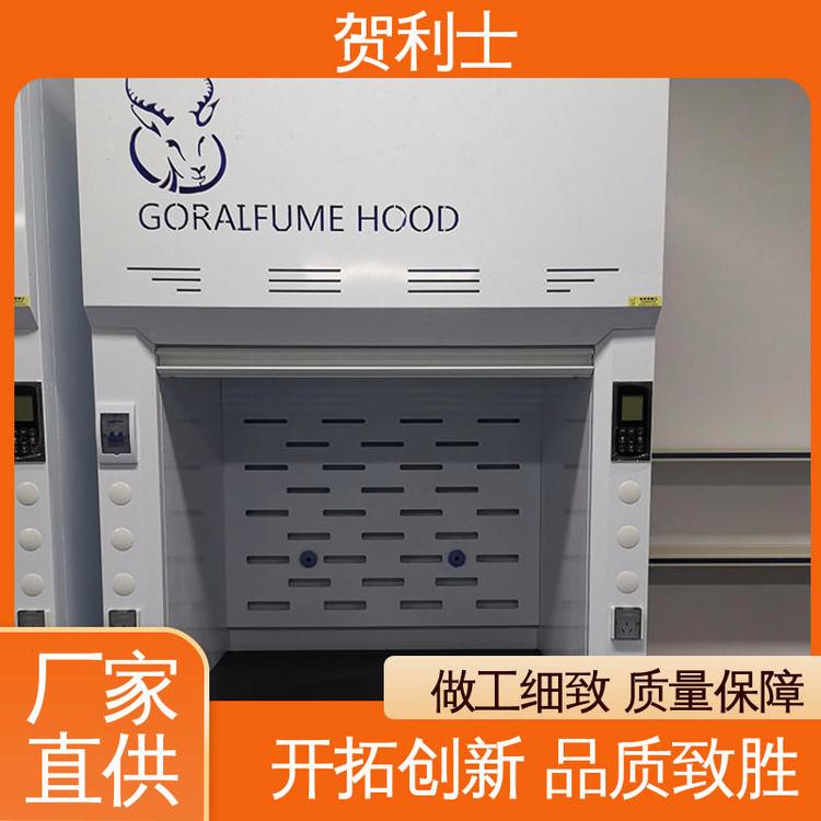 规模生产 支持定制 节能环保 排风柜 坚固 贺利士