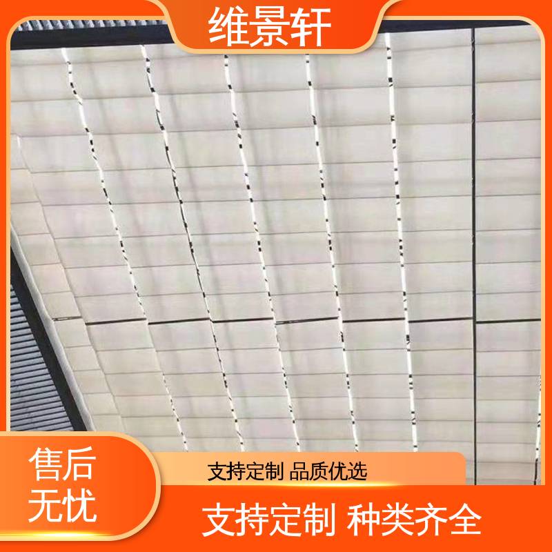 维景轩 FTS电动天棚帘 阳台自动遮阳帘 可按需定制 测量安装一条龙