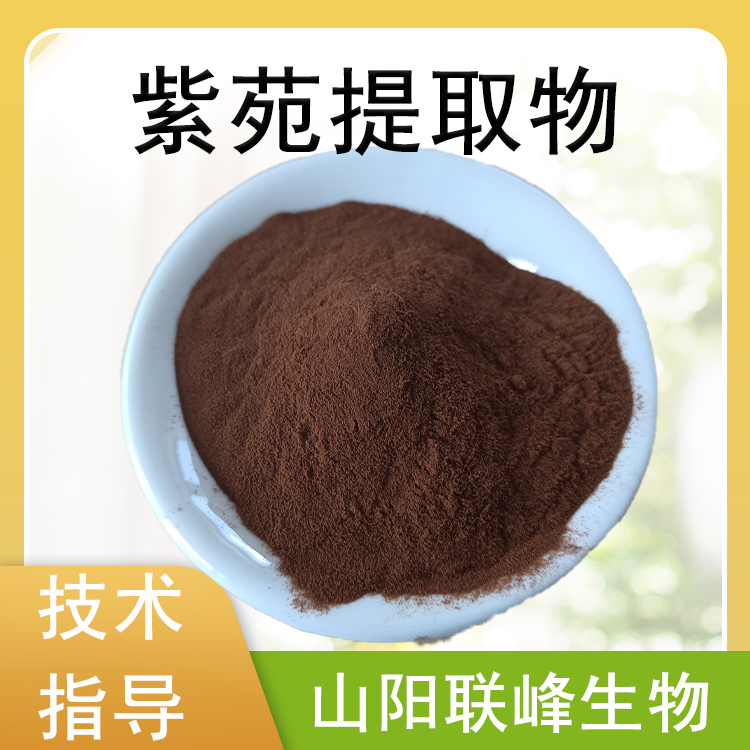 紫苑提取物 比例浓缩萃取返魂草粉 浓缩浸膏 植物萃取