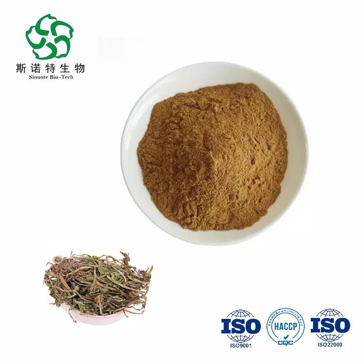 水溶性 蒲公英粉 植物萃取 斯诺特 SC厂 常年供应