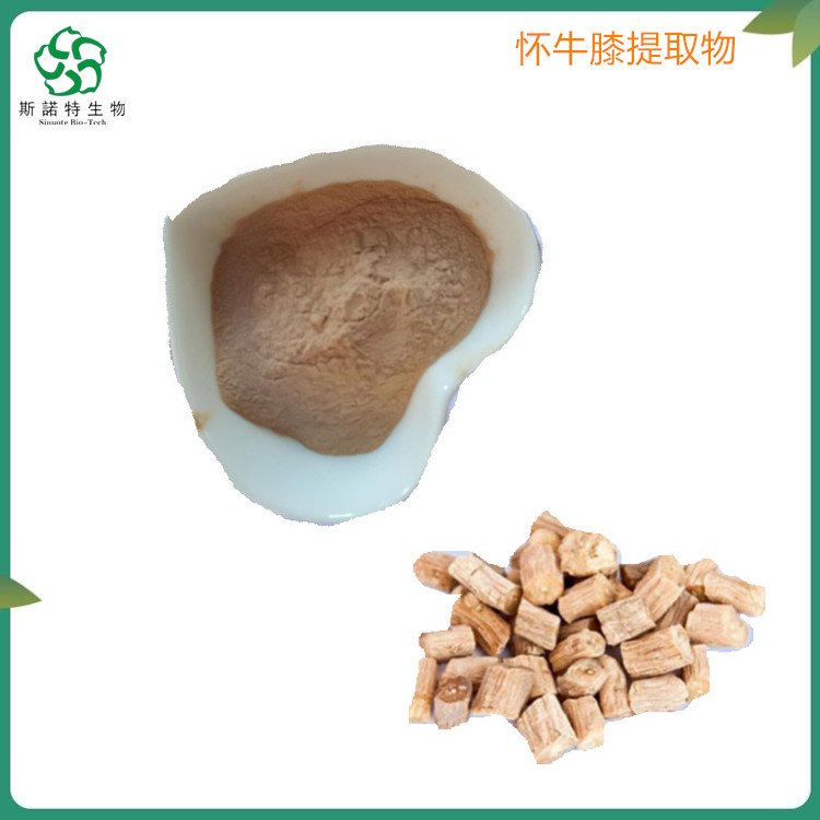斯诺特 怀牛膝提取物 皂甙含量10% UV 溶于水 易保存
