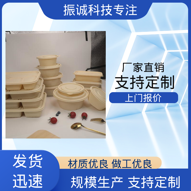 振诚科技 免洗碗 带盖 儿童带餐便携环保 符合限塑标准餐盒
