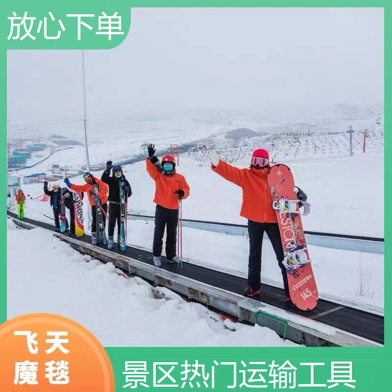 飞天魔定制金属 橡胶毯面2m/s飞行速度 可定制长短游乐设施