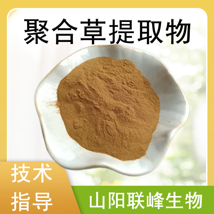 聚合草提取物 友谊草/肥羊草浓缩粉 水溶原料 植物萃取 1kg装