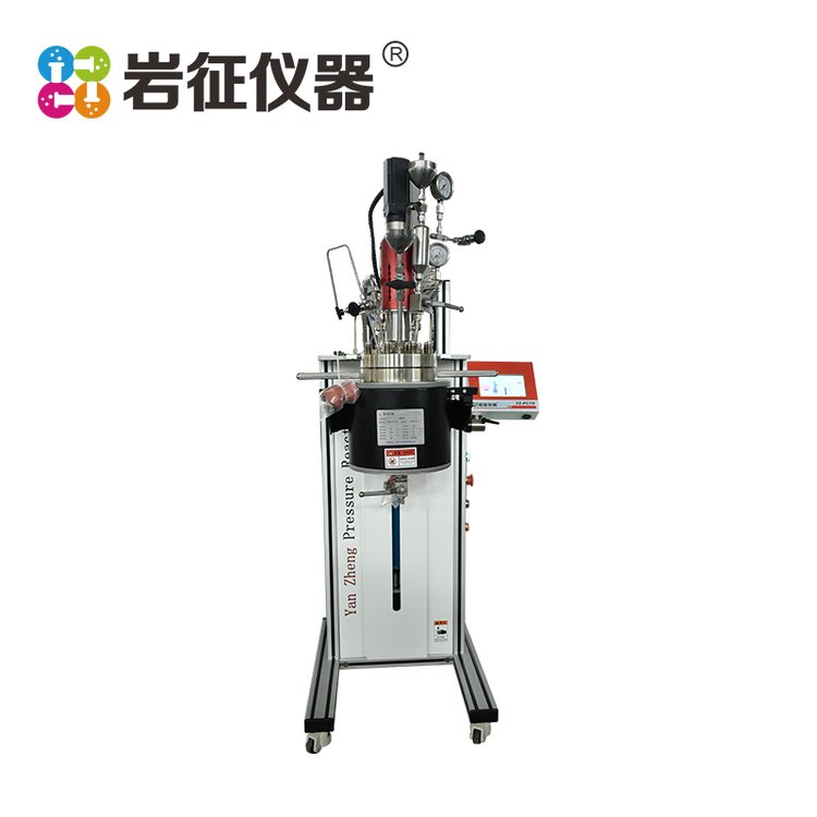 岩征仪器 高压反应釜 10ML耐磨耐腐蚀反应器 品类齐全 实力工厂供应