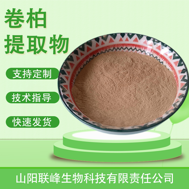 卷柏提取物 水溶浓缩粉 还魂草粉植物萃取 喷雾干燥 多规格