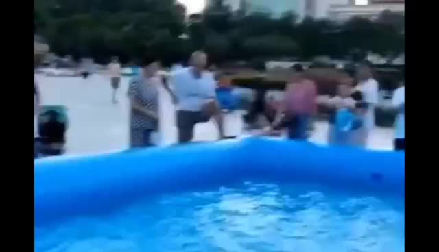 视频