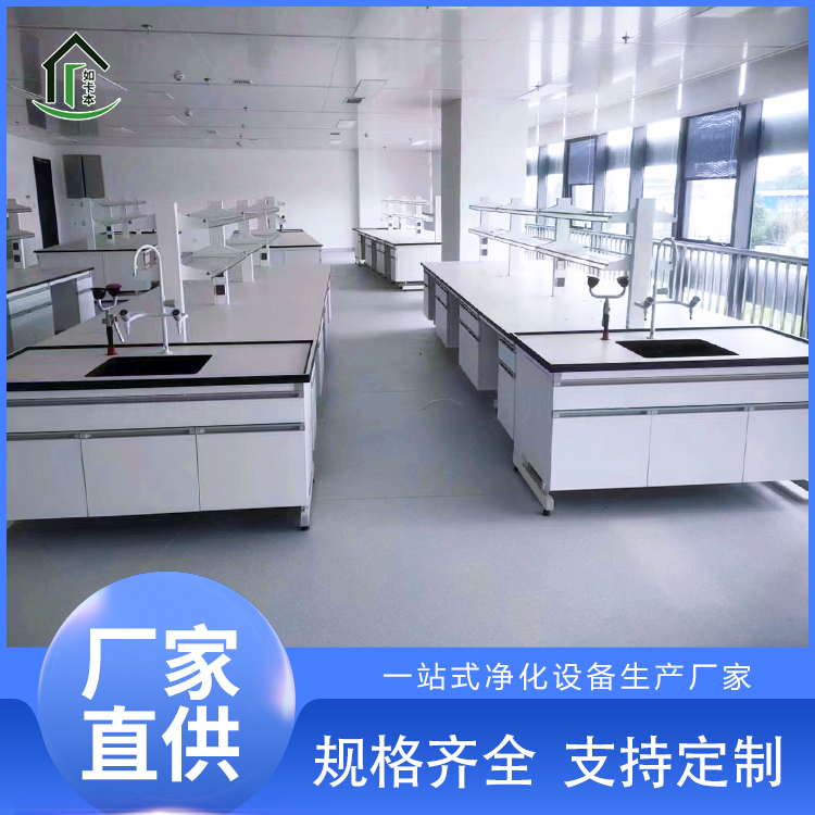 中央实验台 边柜操作台 全钢钢木 厂家定制 如卡本净化 大理石陶瓷台面