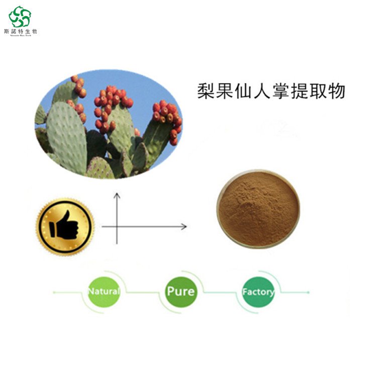 梨果仙人掌提取物 比例提取 浓缩粉末 SC厂 斯诺特