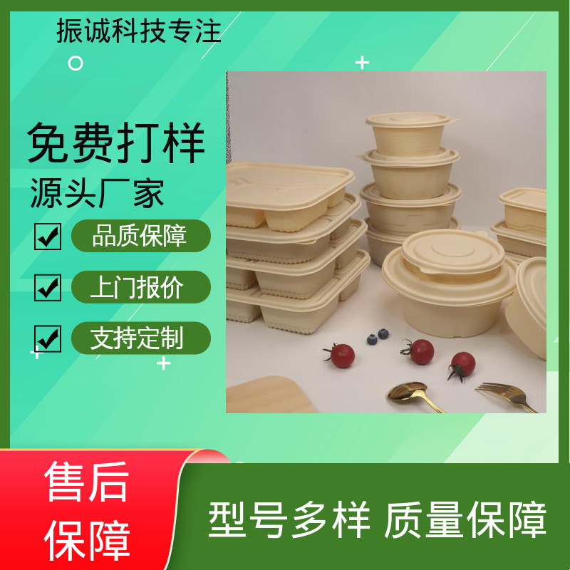 可降解餐盒 儿童带餐便携环保 一次性分格餐碗 振诚科技