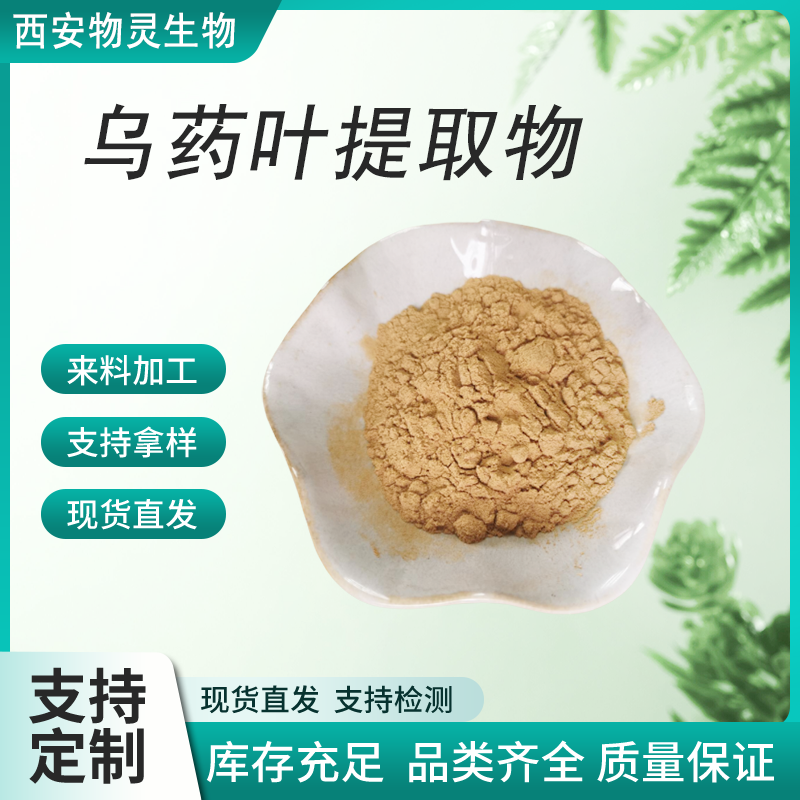乌药叶提取物 水溶乌药叶粉 喷雾干燥 高配浓缩 水提 物灵生物 支持拿样