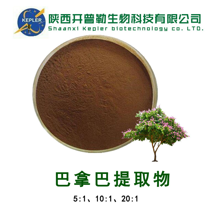 巴拿巴提取物 水溶性浓缩粉 保健食品固体饮料工厂