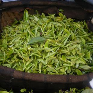 和谐茶楼