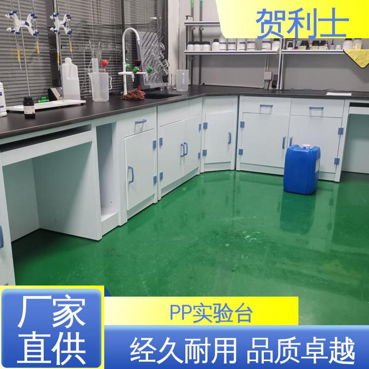 厂家直供 化工厂实验室 PP实验台柜 科研机构用 按需定制加工