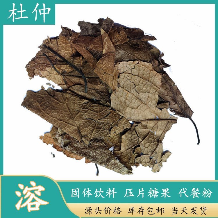 杜仲提取物 水溶杜仲粉 多规格比例可定制 斯诺特生物