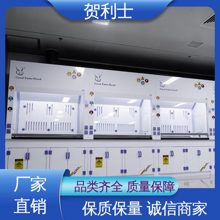 贺利士 硬度强 落地型通风柜 适用范围广 经久耐用 品质卓越