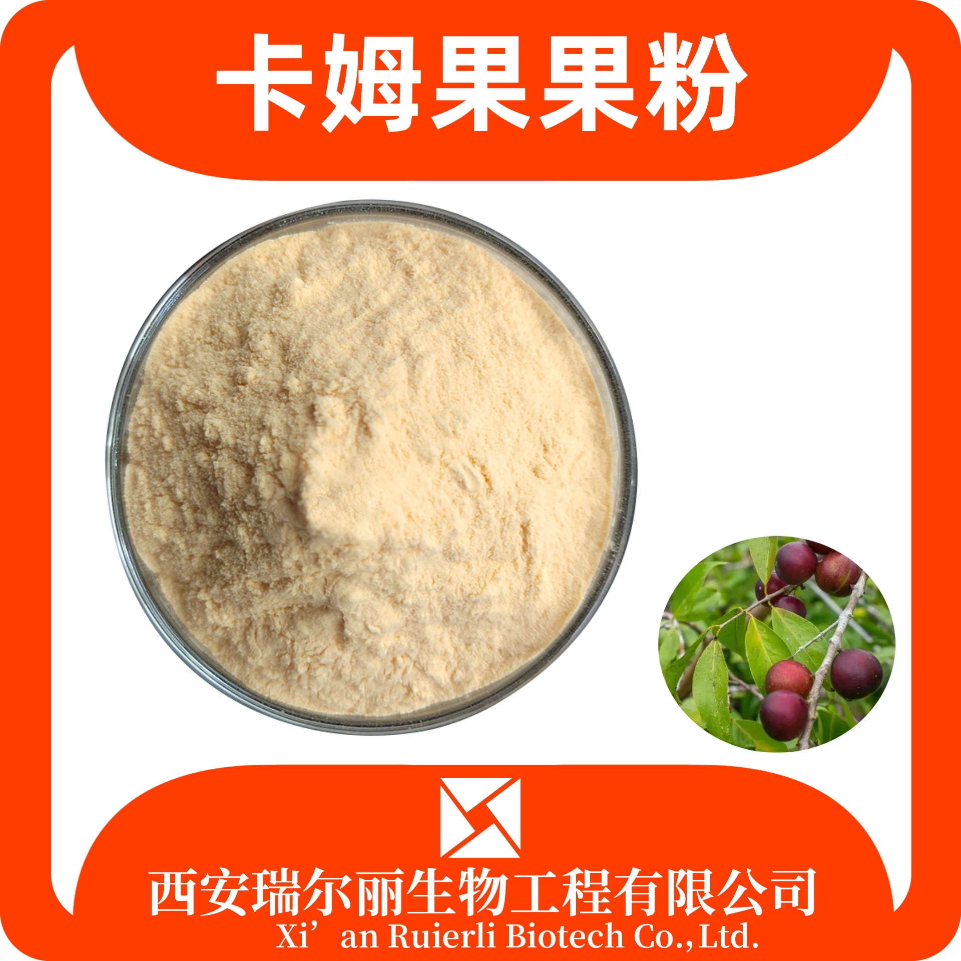 卡姆果果粉 99% 速溶卡姆果汁粉 SC证可定制 食品原料 瑞尔丽生物