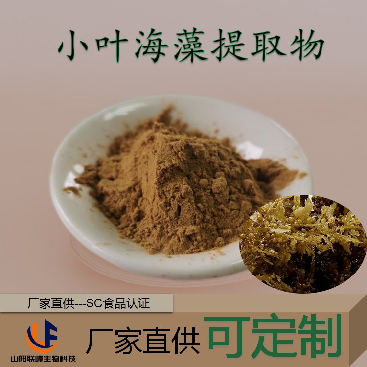 小叶海藻提取物 藻l类浓缩浸膏粉 1千克起订 25公斤起批
