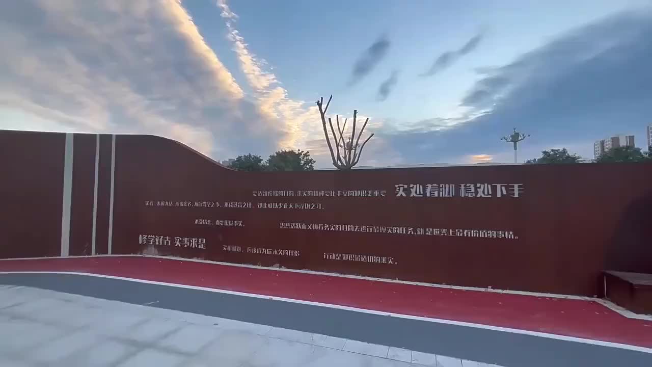 视频