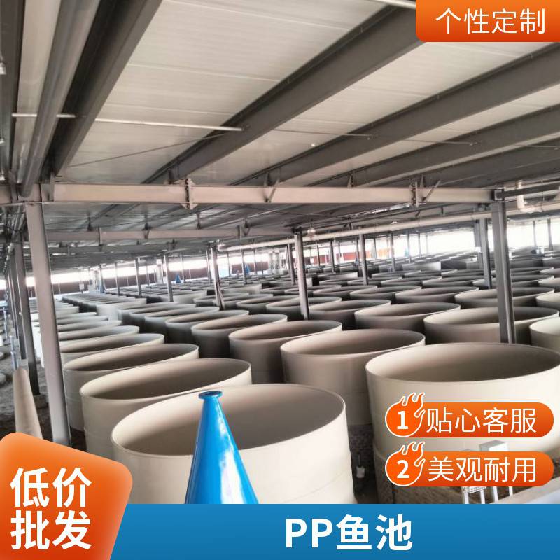 工厂化高密度塑料养鱼池室内泥鳅PP养殖池 可移动鱼池 养殖淡水虾池
