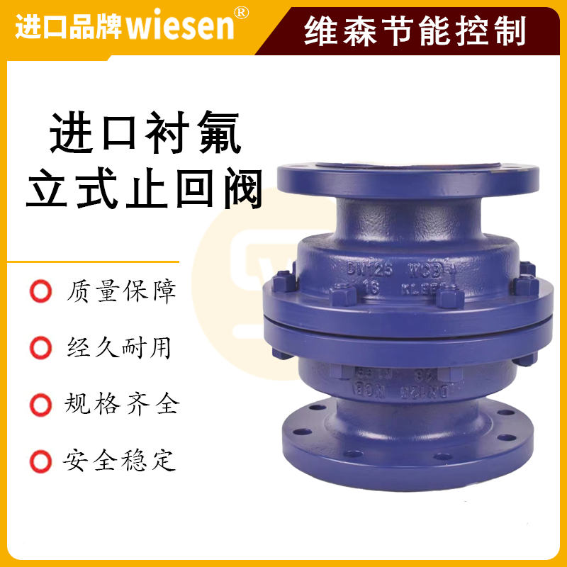 美国维森 进口止回阀 法兰式 旋启式 升降式 立式 单向逆止阀 使用寿命长