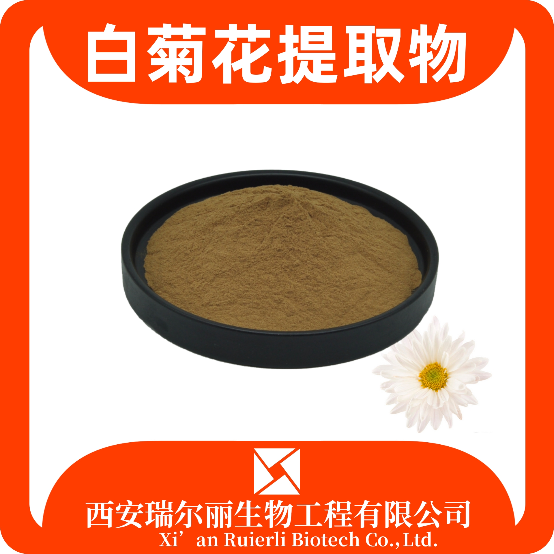 白菊花提取物 速溶白菊花粉 杭白菊粉 SC工厂可定制 源头工厂
