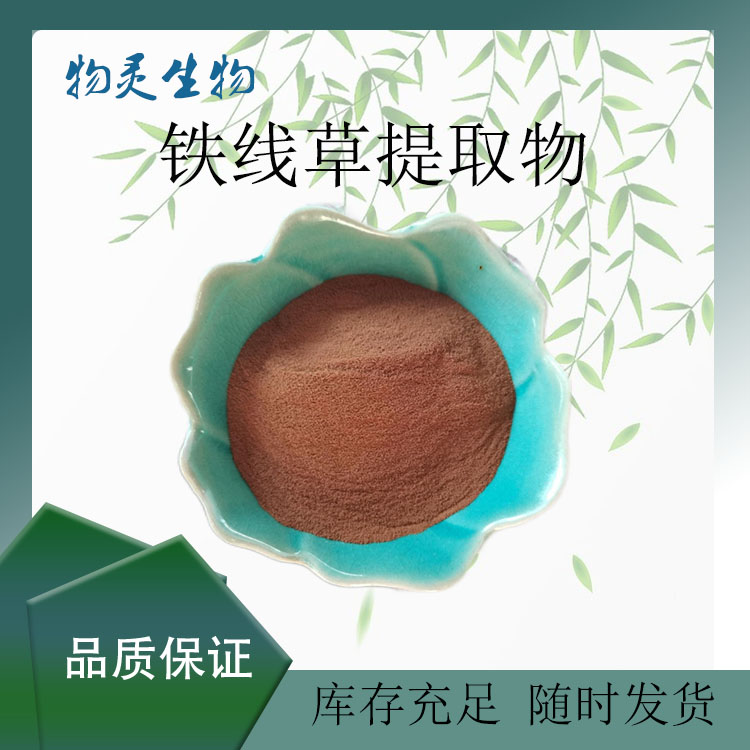 铁线草提取物 铁线蕨水溶性粉末 拐子草浸膏 多种规格 植物原料