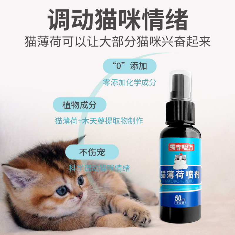 厂家批发猫薄荷喷雾气味引导喷剂逗猫情绪自嗨喷雾剂现货宠物用品