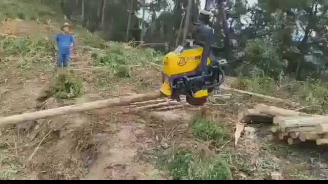 视频