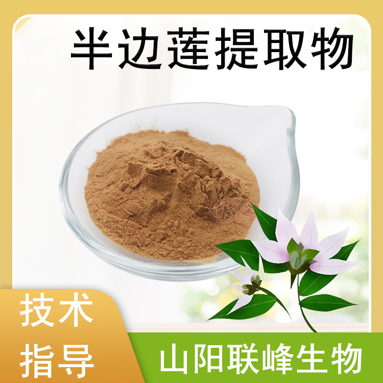 半边莲提取物 10:1 定制各种规格 浓缩干燥原料 多糖 黄酮 联峰生物 供应