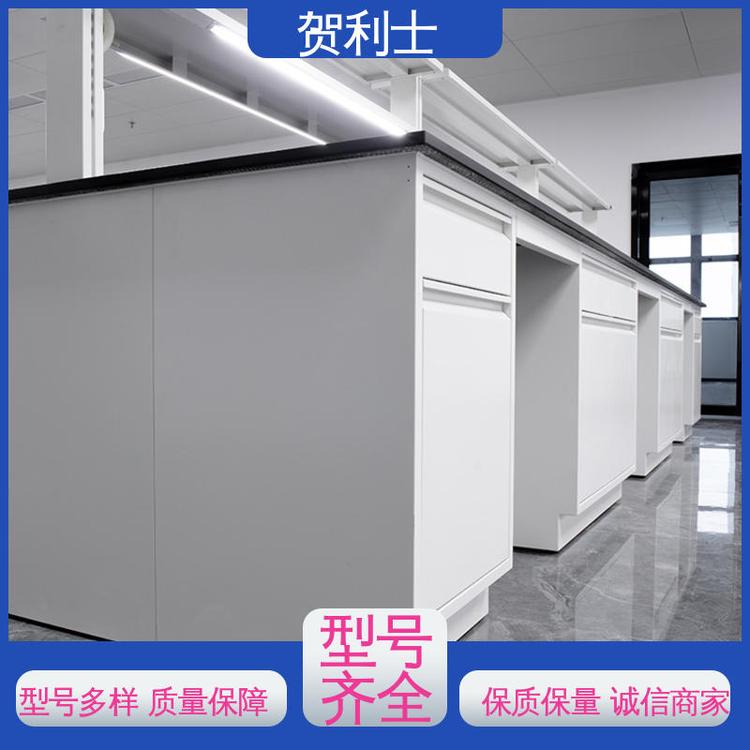 贺利士 全钢实验室台 建设用 保质保量 精致打造 耐腐蚀