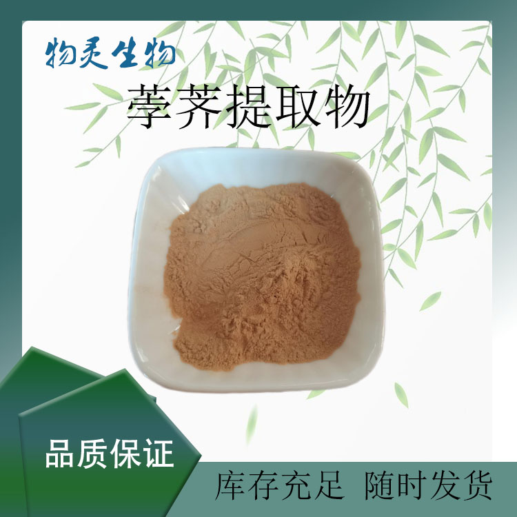 荸荠提取物 水溶性马蹄浓缩粉 物灵生物 1kg起批 植物萃取 多种规格