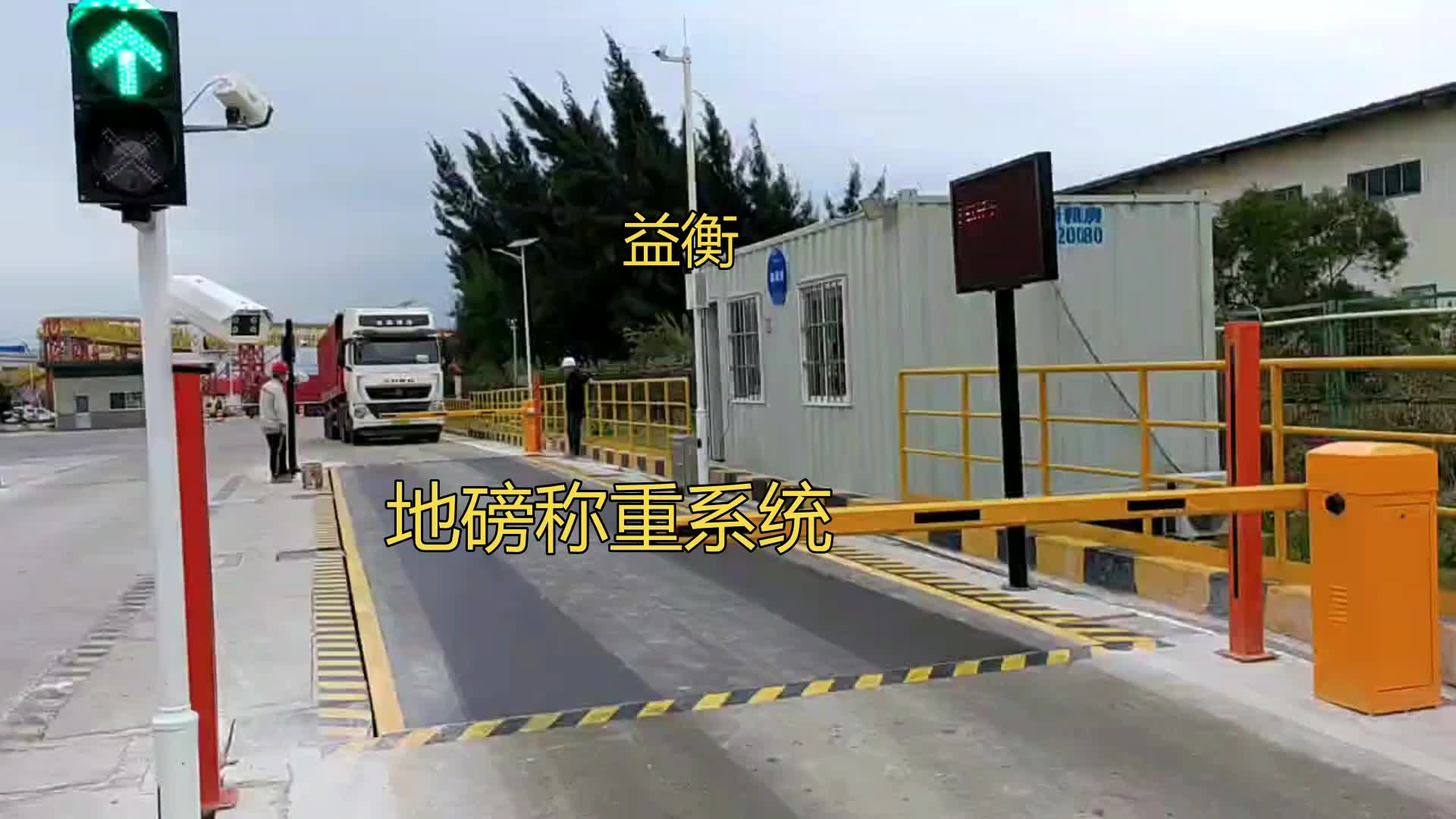 视频