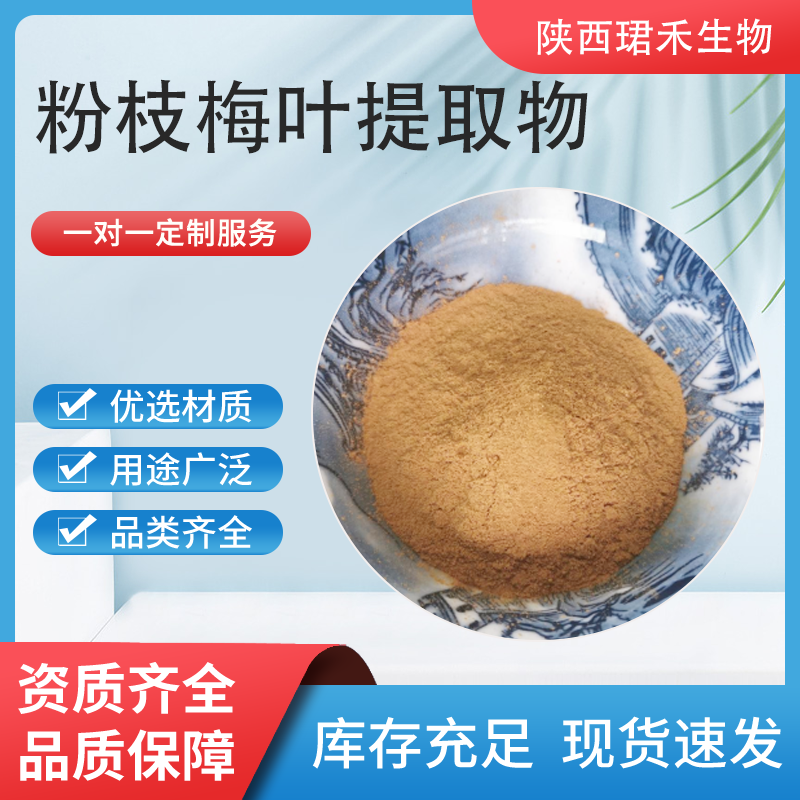 珺禾生物 粉枝梅叶提取物 浓缩粉 水溶 可定制 1kg起批