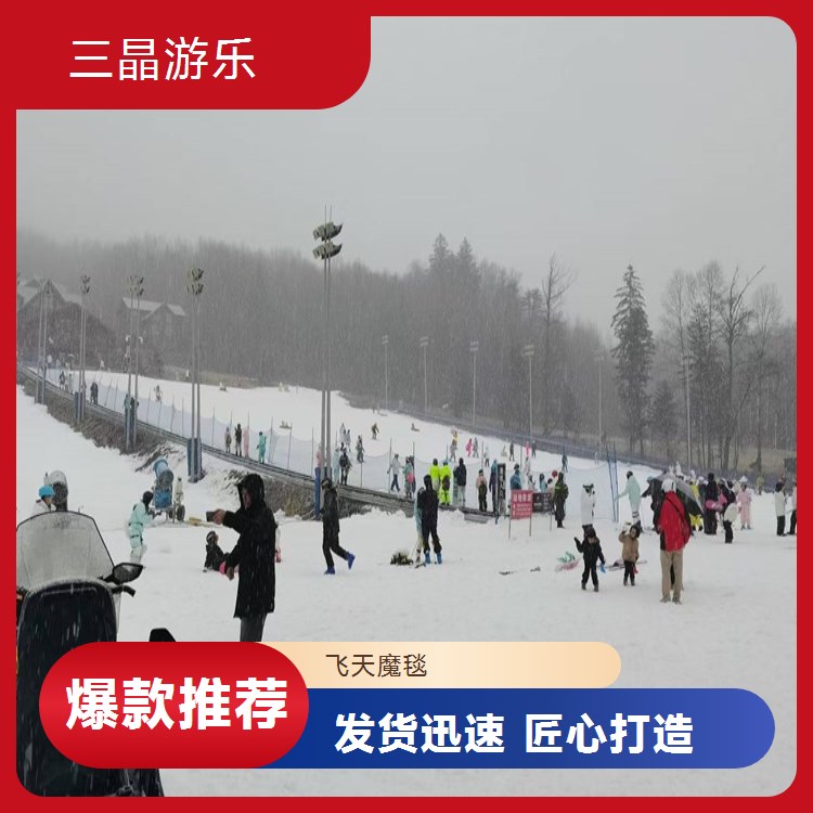 三晶飞天观光魔毯 大型游乐设备 抗拉450N 1100mm宽
