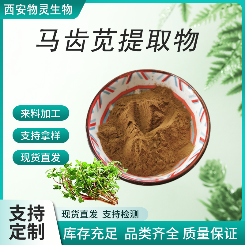 马齿苋提取物 20:1 水溶性浓缩 五行草粉 皂甙 食品级原料 物灵生物 SC证