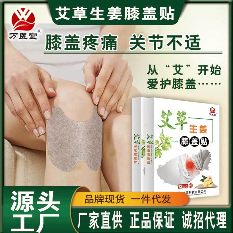艾草膝盖贴批发厂家 家用膏药贴 艾叶生姜贴生产厂家