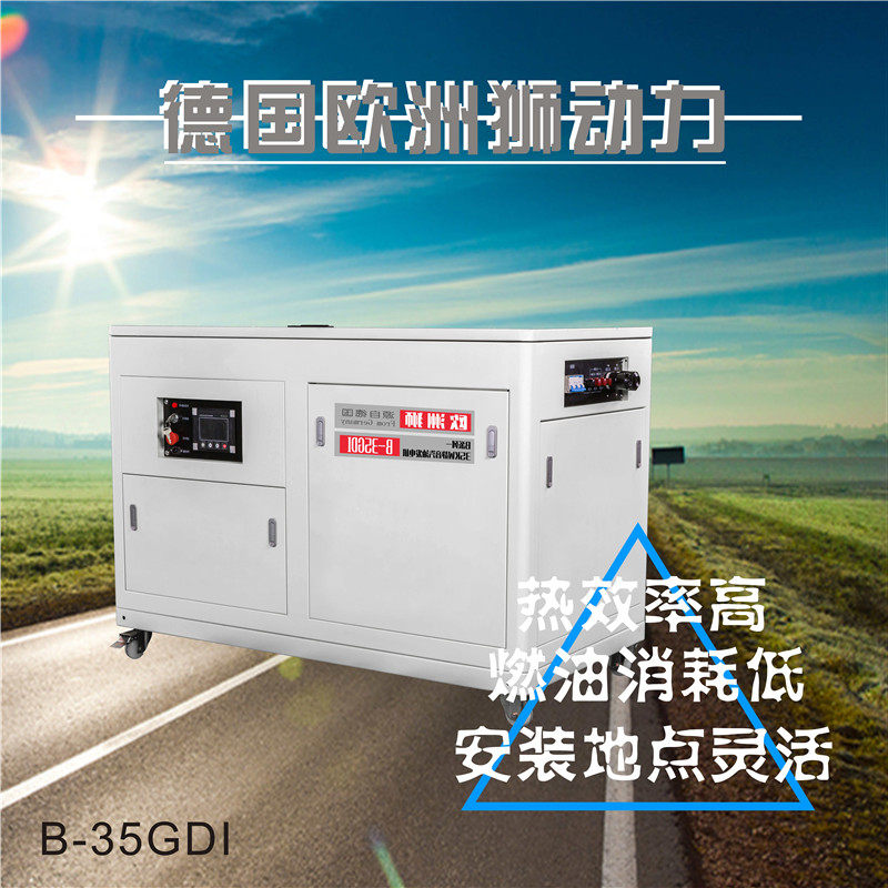 欧洲狮35KW静音汽油发电机 电启动35千瓦四缸自启动型单三相水冷型