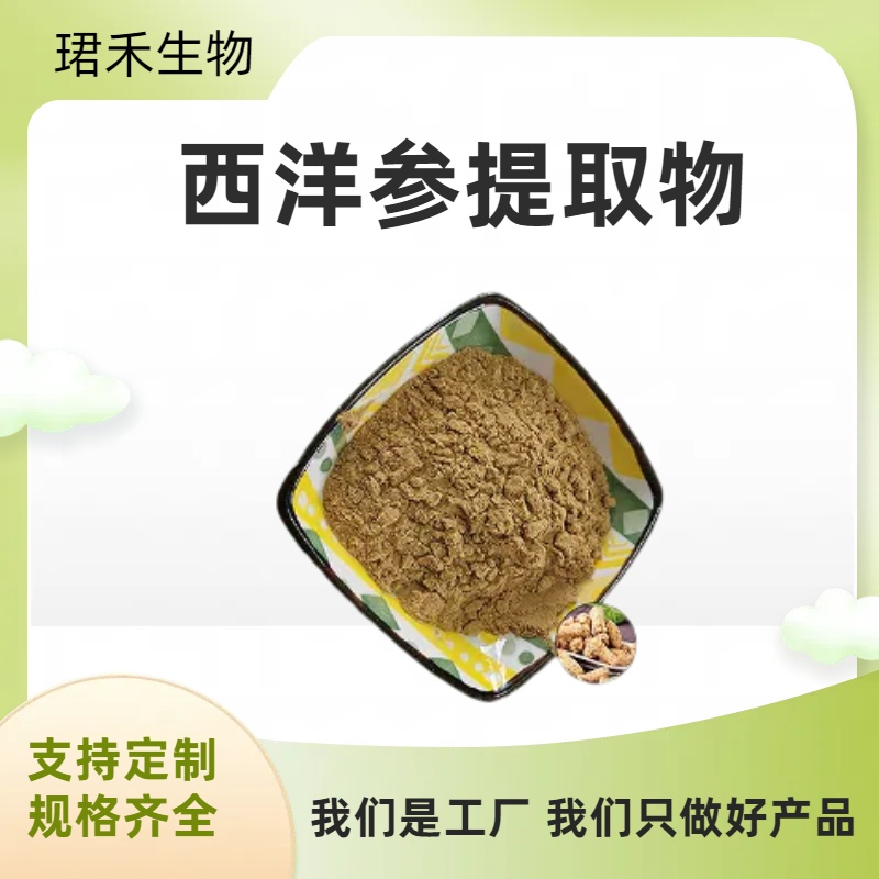 西洋参提取物 西洋参皂甙80% 食品原料 品质稳定 可寄样