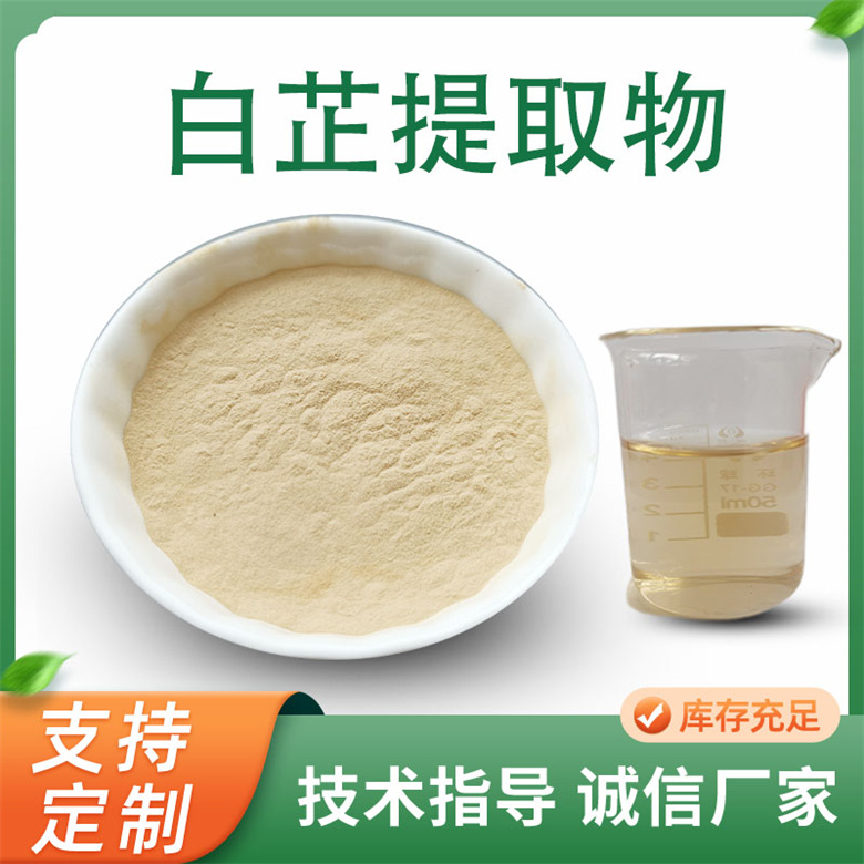 白芷提取物 白芷浓缩粉 10:1比例粉 欧前胡素等 食品级