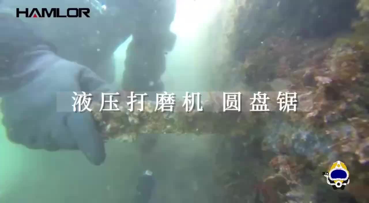 视频