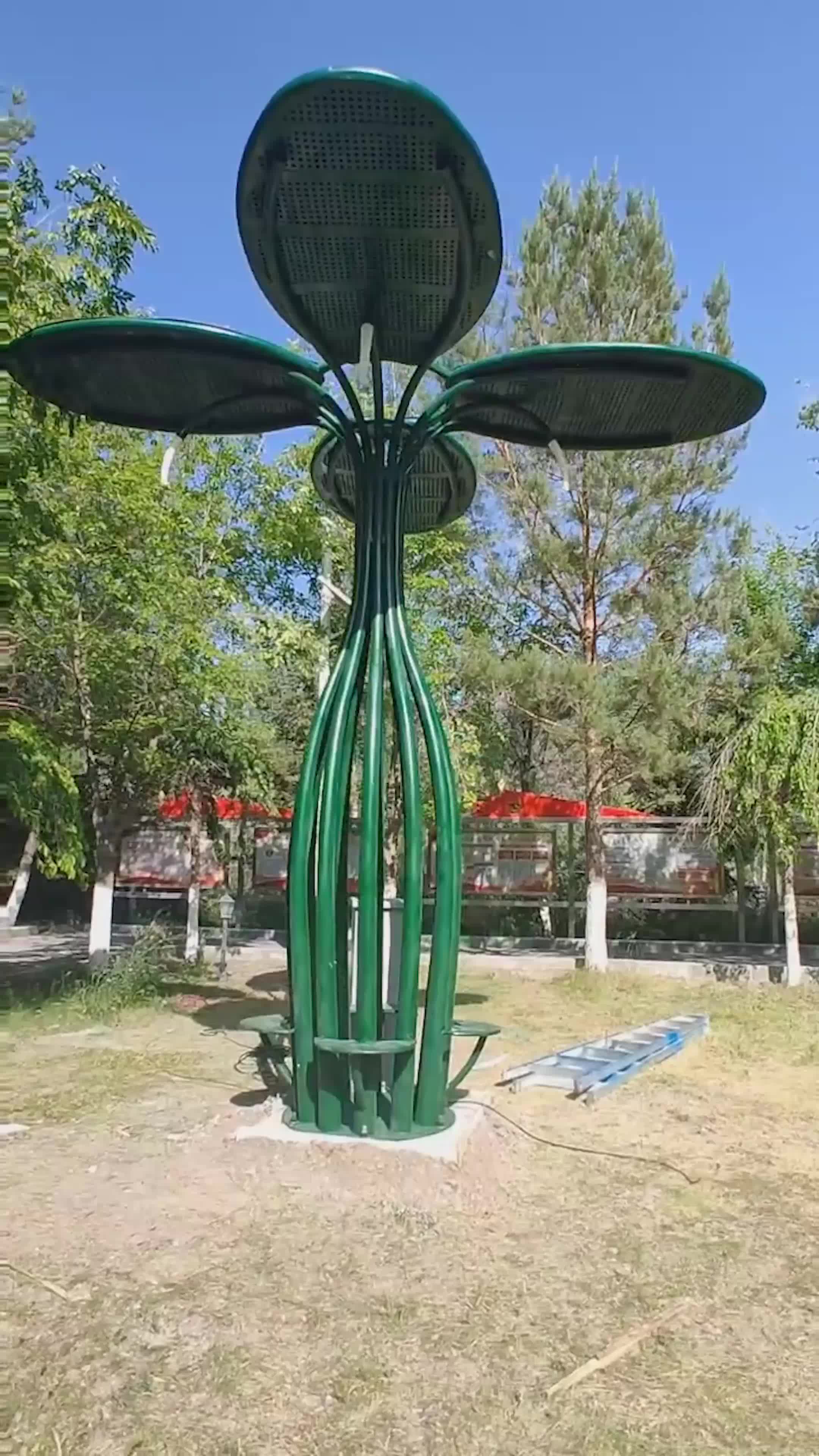 视频