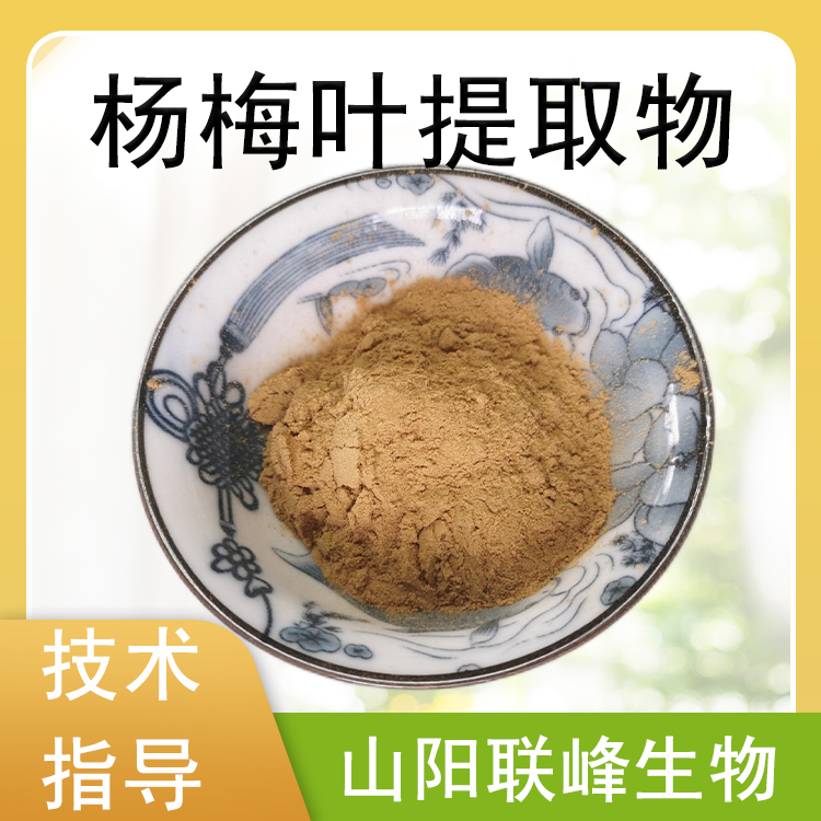 杨梅叶提取物 10：1水溶浓缩粉食品原料 植物萃取 喷雾干燥 1公斤起订